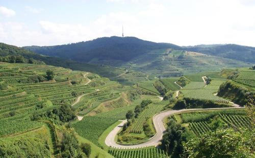 Landgasthof Zum Lamm Bahlingen  Eksteriør bilde